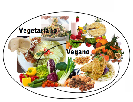 diagramveg