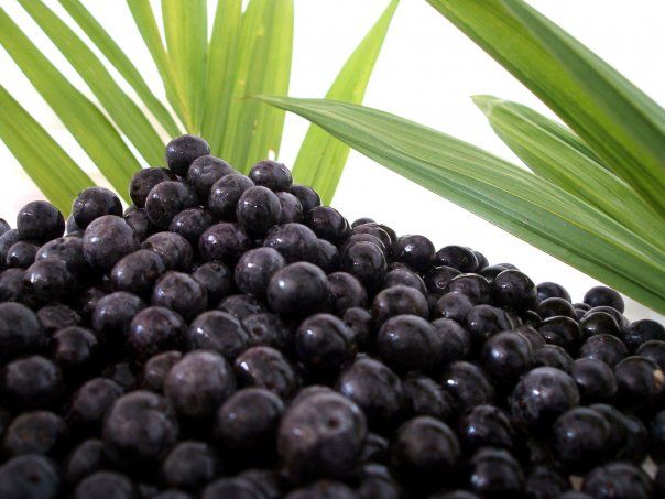 Açai
