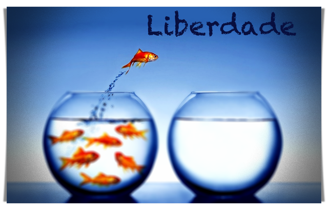 030714_0343_automatizan2