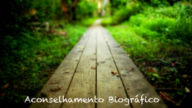 caminho-no-bosque-wallpaper